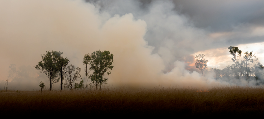 HERO IMAGE - BUSHFIRE