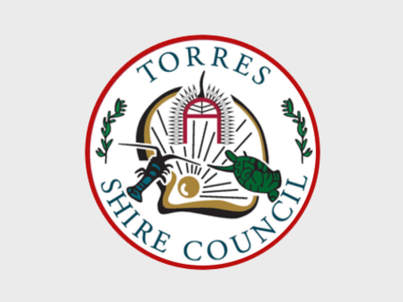 Torres logo